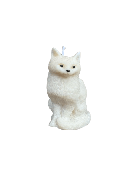 Gato
