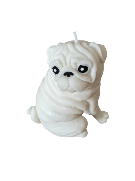 Pug