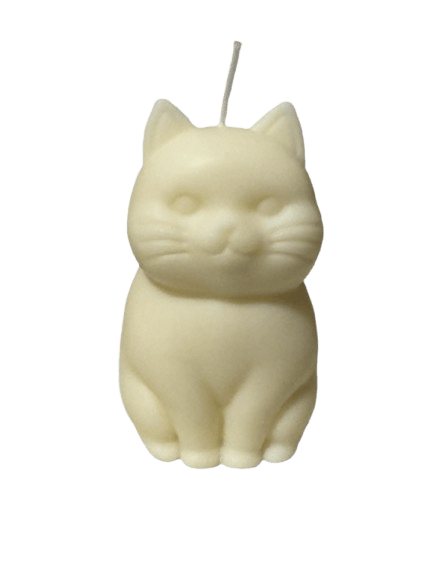 Gato Caricatura
